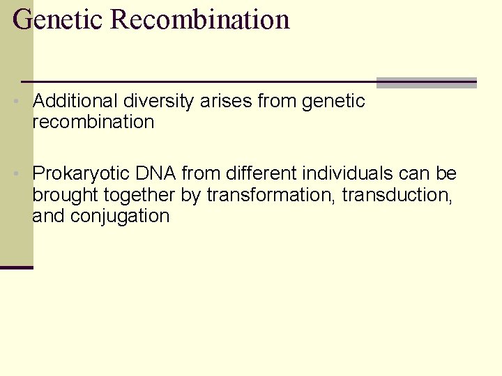 Genetic Recombination • Additional diversity arises from genetic recombination • Prokaryotic DNA from different