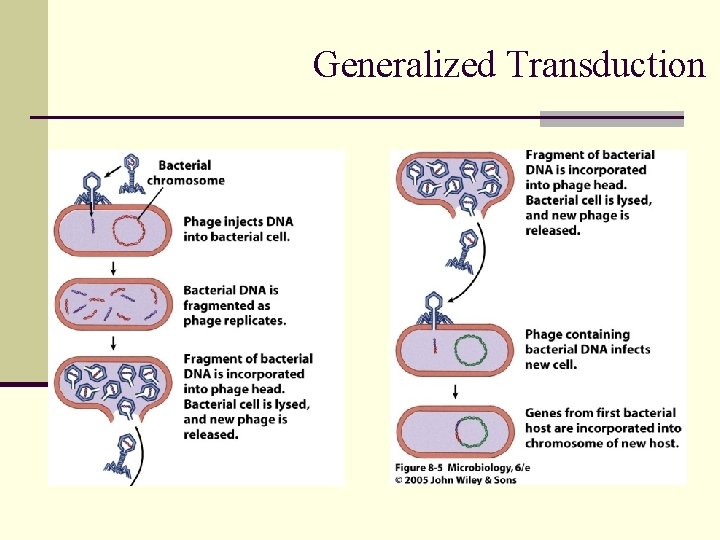 Generalized Transduction 