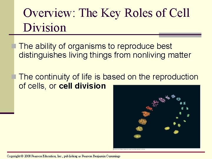 Overview: The Key Roles of Cell Division n The ability of organisms to reproduce