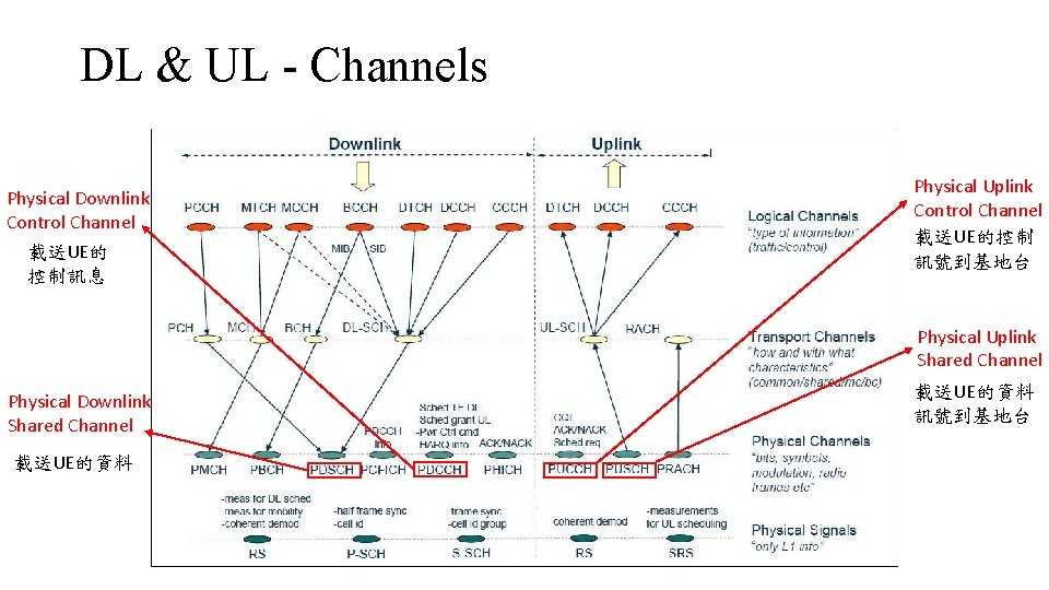 DL & UL - Channels Physical Downlink Control Channel 載送UE的 控制訊息 Physical Uplink Control