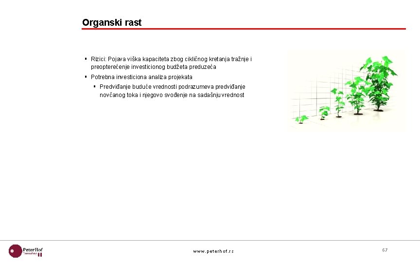 Organski rast § Rizici: Pojava viška kapaciteta zbog cikličnog kretanja tražnje i preopterećenje investicionog