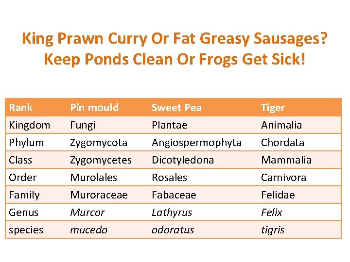 King Prawn Curry Or Fat Greasy Sausages? Keep Ponds Clean Or Frogs Get Sick!