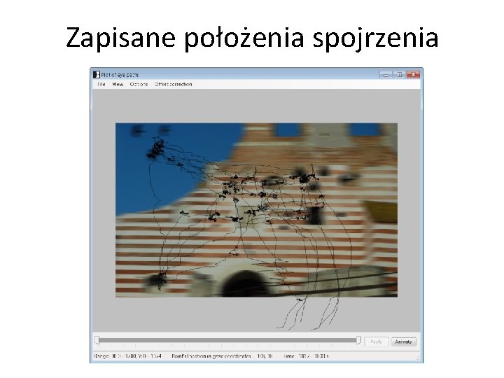 Zapisane położenia spojrzenia 