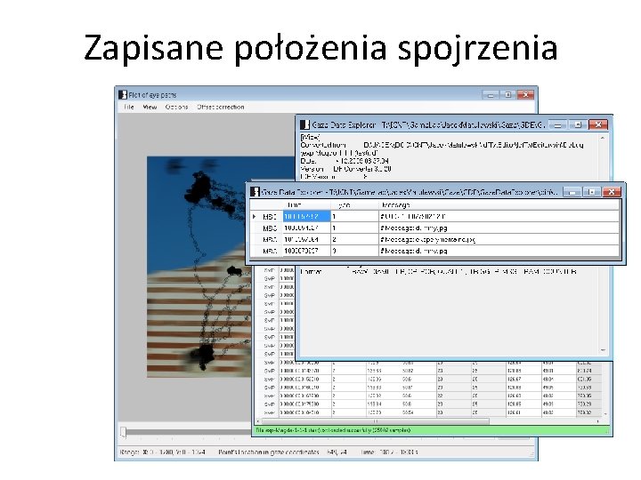 Zapisane położenia spojrzenia 