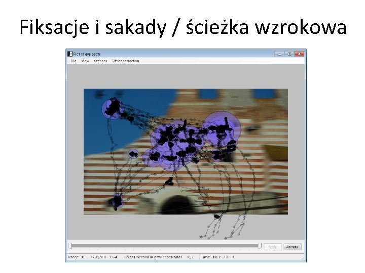 Fiksacje i sakady / ścieżka wzrokowa 