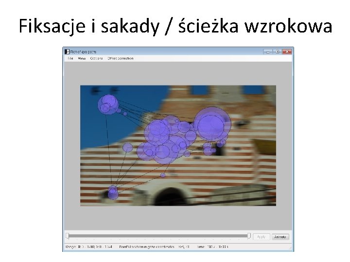 Fiksacje i sakady / ścieżka wzrokowa 