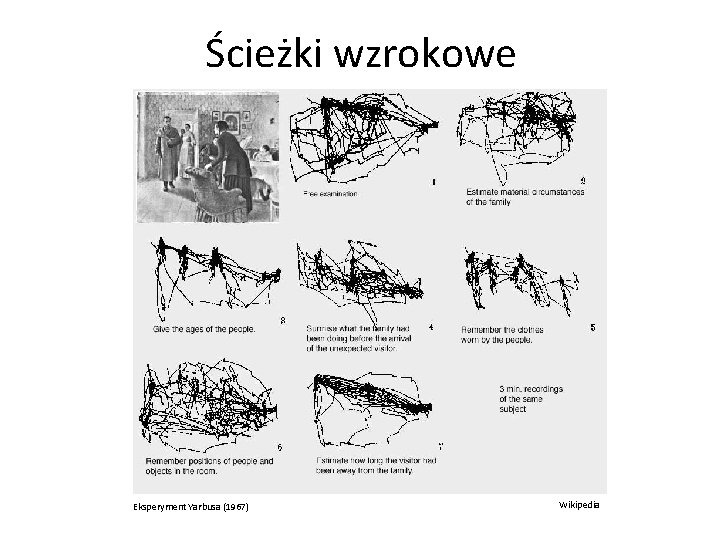 Ścieżki wzrokowe Eksperyment Yarbusa (1967) Wikipedia 