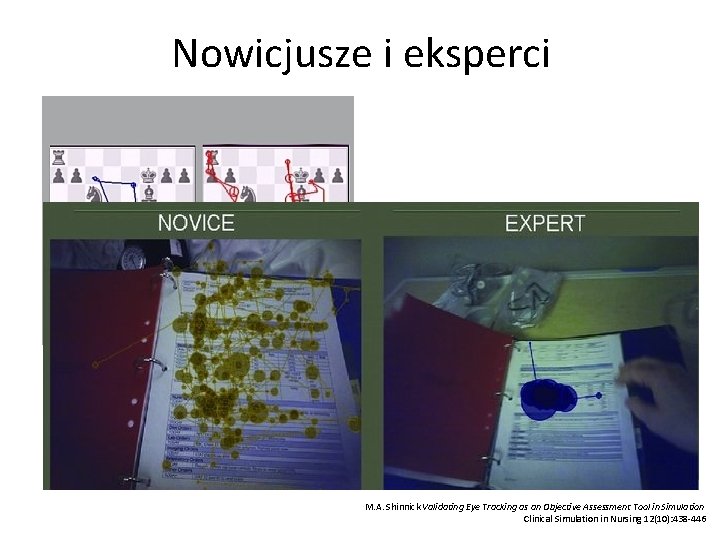 Nowicjusze i eksperci SMI (www. smivision. com) M. A. Shinnick Validating Eye Tracking as