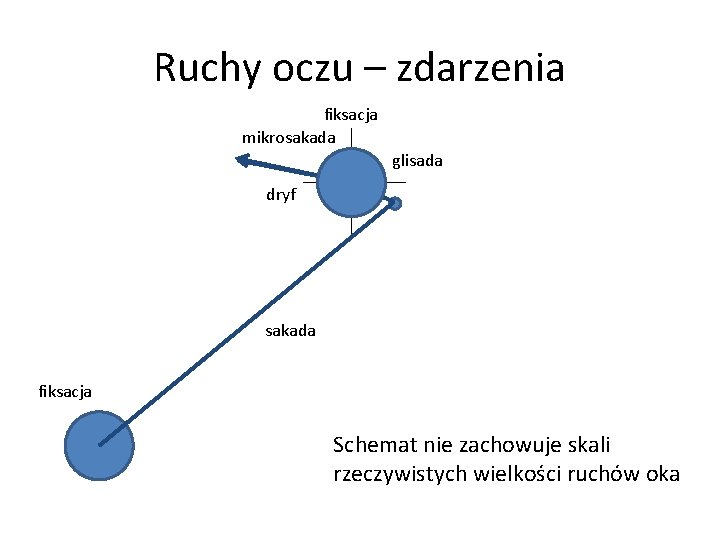Ruchy oczu – zdarzenia fiksacja mikrosakada glisada dryf sakada fiksacja Schemat nie zachowuje skali