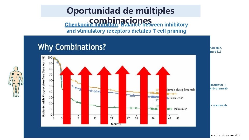 Oportunidad de múltiples combinaciones Checkpoint inhibition: inhibition Balance between inhibitory and stimulatory receptors dictates