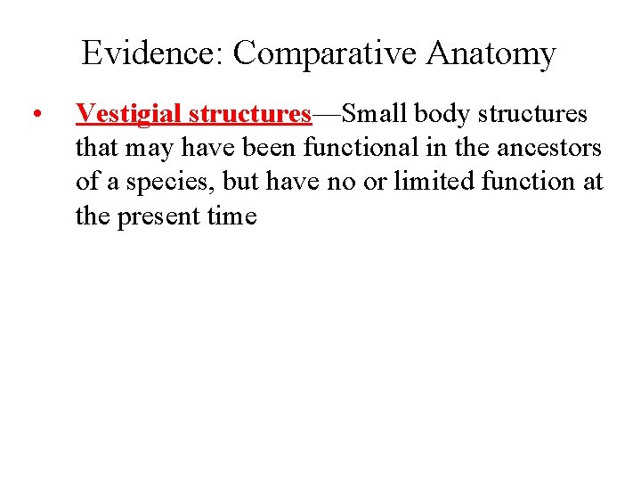 Evidence: Comparative Anatomy • Vestigial structures—Small body structures that may have been functional in