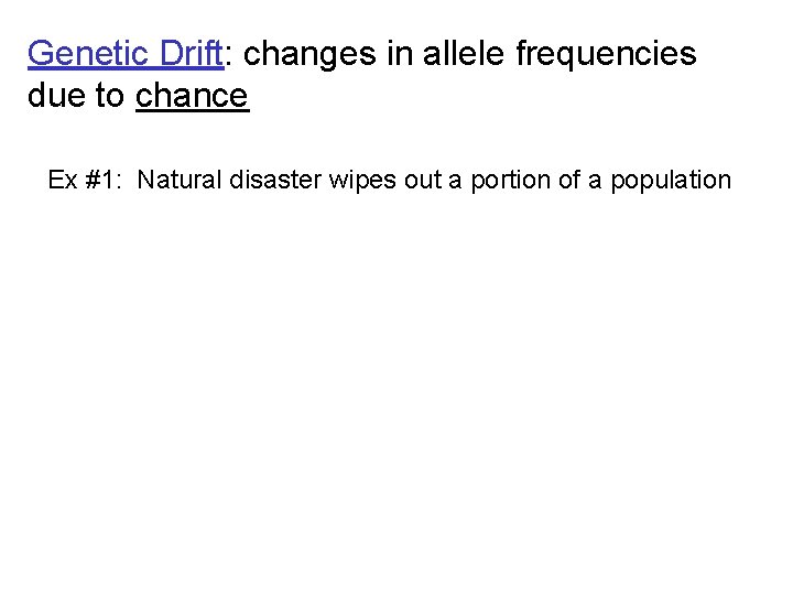 Genetic Drift: changes in allele frequencies due to chance Ex #1: Natural disaster wipes