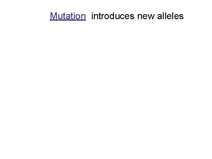 Mutation introduces new alleles 