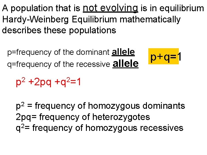 A population that is not evolving is in equilibrium Hardy-Weinberg Equilibrium mathematically describes these