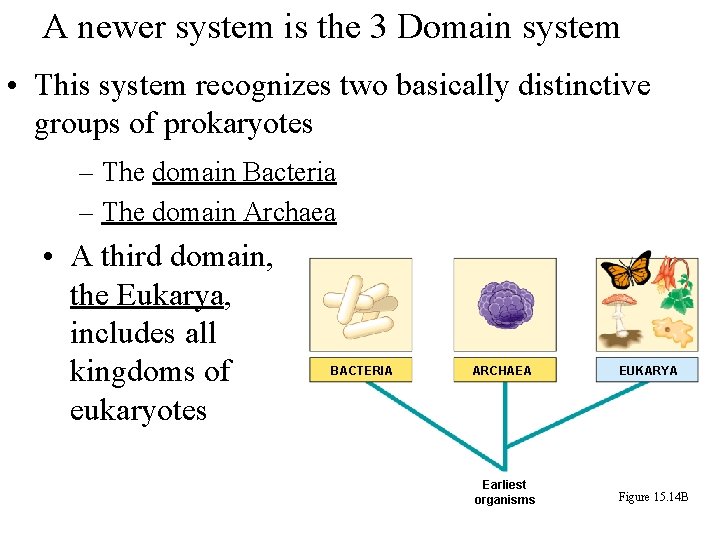 A newer system is the 3 Domain system • This system recognizes two basically
