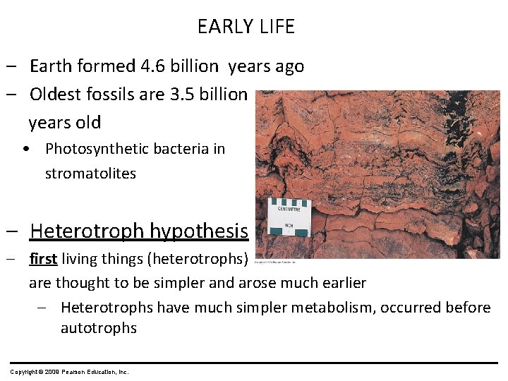 EARLY LIFE – Earth formed 4. 6 billion years ago – Oldest fossils are