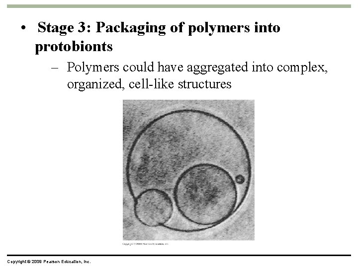  • Stage 3: Packaging of polymers into protobionts – Polymers could have aggregated