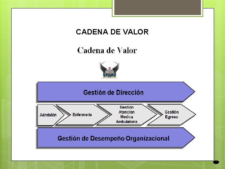 VICERRECTORADO DE INVESTIGACIN INNOVACIN Y TRANSFERENCIA DE TECNOLOGA