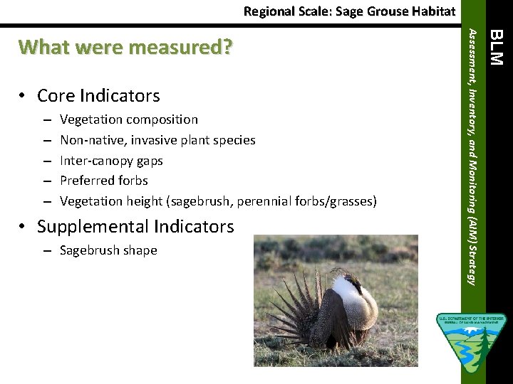 Regional Scale: Sage Grouse Habitat – – – Vegetation composition Non-native, invasive plant species