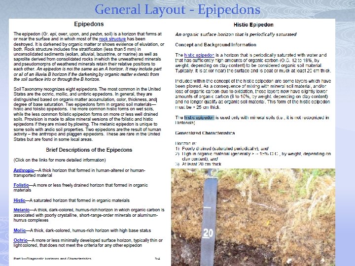 General Layout - Epipedons 