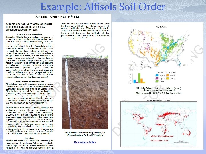 Example: Alfisols Soil Order 