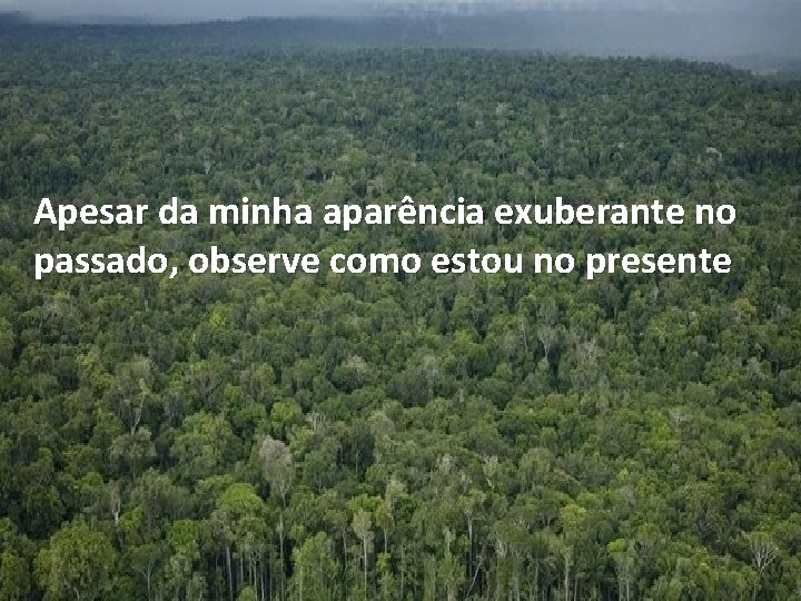 Apesar da minha aparência exuberante no passado, observe como estou no presente 