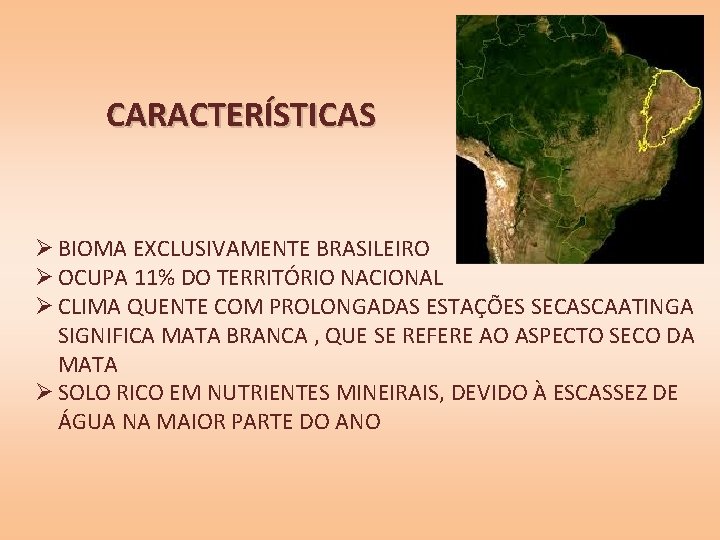 CARACTERÍSTICAS Ø BIOMA EXCLUSIVAMENTE BRASILEIRO Ø OCUPA 11% DO TERRITÓRIO NACIONAL Ø CLIMA QUENTE