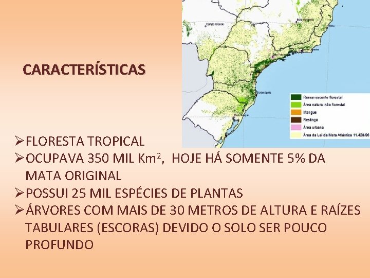 CARACTERÍSTICAS ØFLORESTA TROPICAL ØOCUPAVA 350 MIL Km 2, HOJE HÁ SOMENTE 5% DA MATA