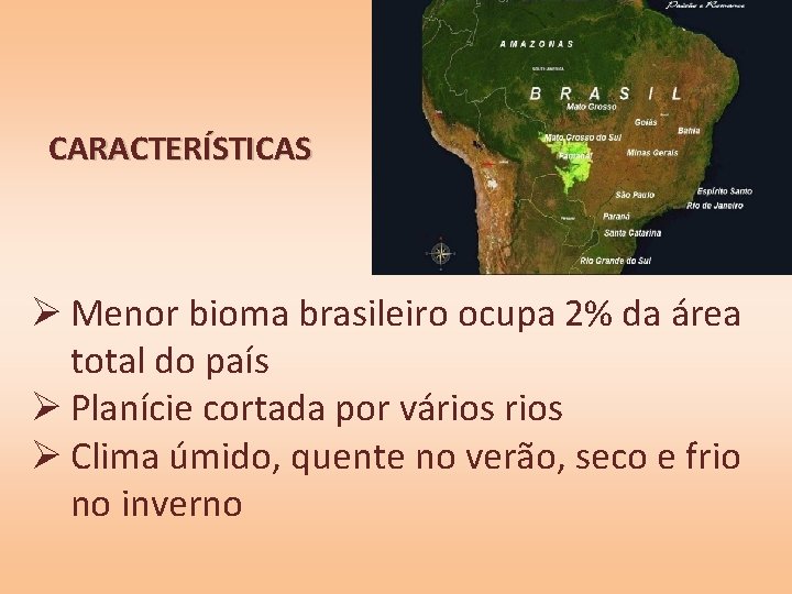 CARACTERÍSTICAS Ø Menor bioma brasileiro ocupa 2% da área total do país Ø Planície