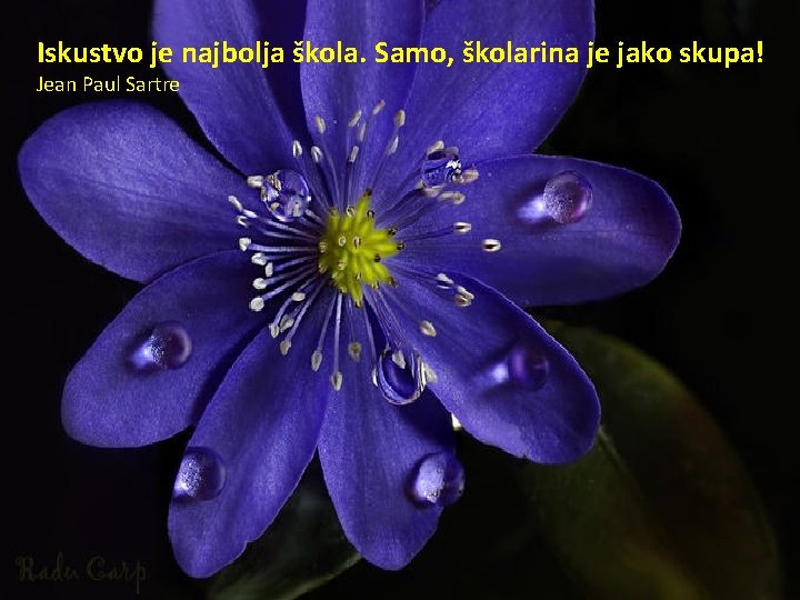 Iskustvo je najbolja škola. Samo, školarina je jako skupa! Jean Paul Sartre 