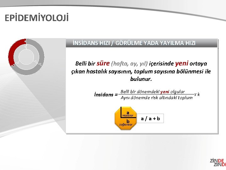 İNSİDANS HIZI / GÖRÜLME YADA YAYILMA HIZI Belli bir süre (hafta, ay, yıl) içerisinde İNSİDANS HIZI / GÖRÜLME YADA YAYILMA HIZI Belli bir süre (hafta, ay, yıl) içerisinde