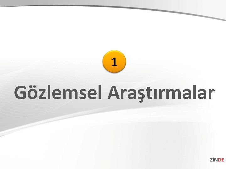 1 Gözlemsel Araştırmalar ZİNDE 1 Gözlemsel Araştırmalar ZİNDE