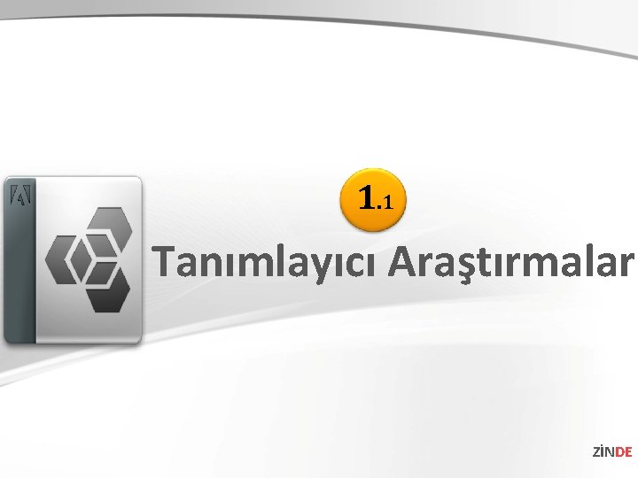 1. 1 Tanımlayıcı Araştırmalar ZİNDE 1. 1 Tanımlayıcı Araştırmalar ZİNDE