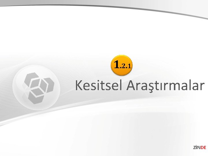 1. 2. 1 Kesitsel Araştırmalar ZİNDE 1. 2. 1 Kesitsel Araştırmalar ZİNDE