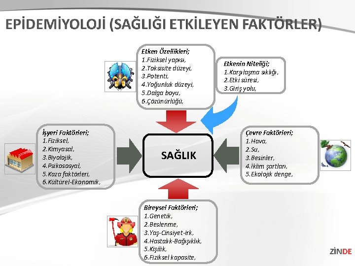 Etken Özellikleri; 1. Fiziksel yapısı, 2. Toksisite düzeyi, 3. Potenti, 4. Yoğunluk düzeyi, 5. Etken Özellikleri; 1. Fiziksel yapısı, 2. Toksisite düzeyi, 3. Potenti, 4. Yoğunluk düzeyi, 5.