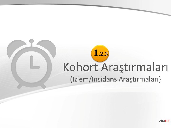 1. 2. 3 Kohort Araştırmaları (İzlem/İnsidans Araştırmaları) ZİNDE 1. 2. 3 Kohort Araştırmaları (İzlem/İnsidans Araştırmaları) ZİNDE