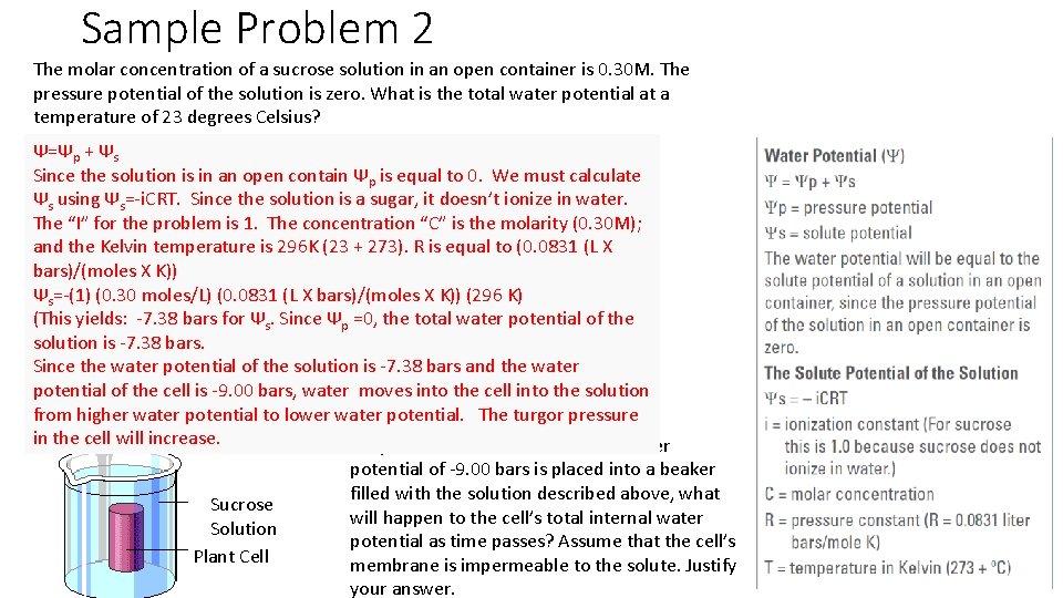 Water Potential ProblemsSolutions The solutions can also be