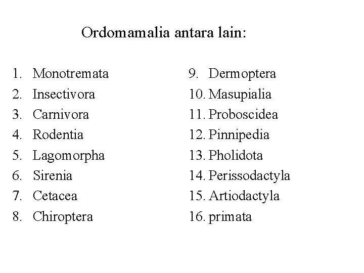 Ordomamalia antara lain: 1. 2. 3. 4. 5. 6. 7. 8. Monotremata Insectivora Carnivora