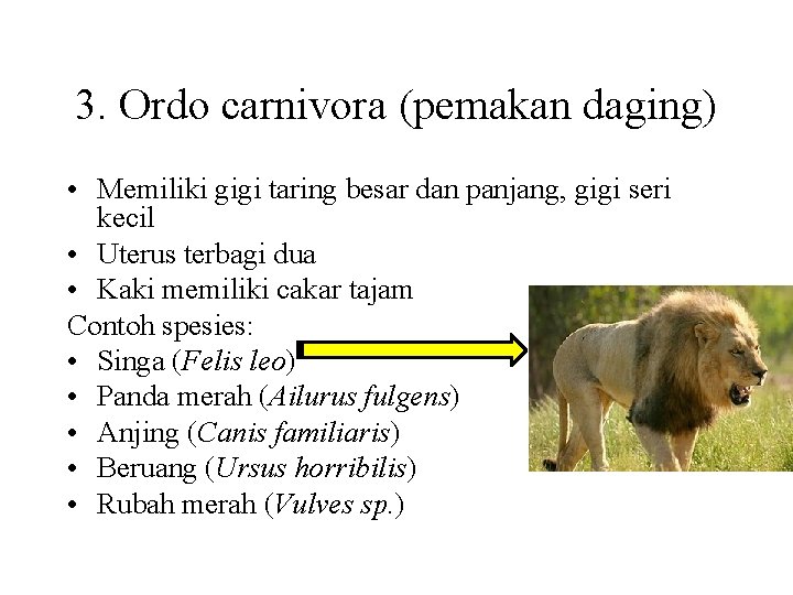 3. Ordo carnivora (pemakan daging) • Memiliki gigi taring besar dan panjang, gigi seri