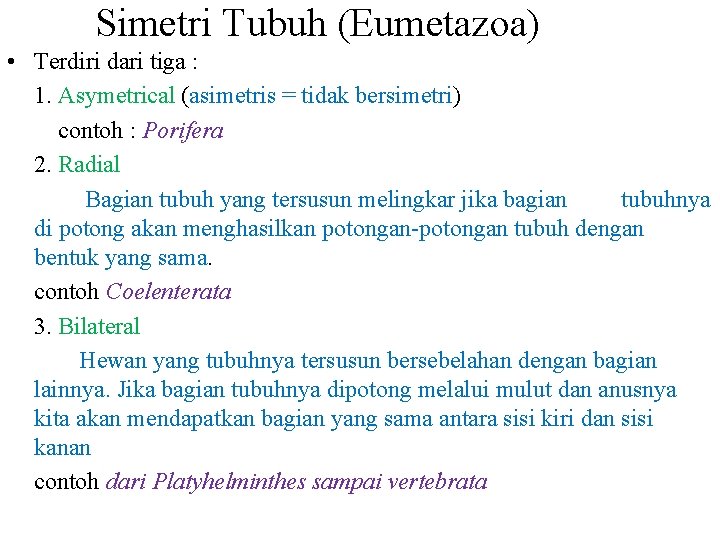 Simetri Tubuh (Eumetazoa) • Terdiri dari tiga : 1. Asymetrical (asimetris = tidak bersimetri)