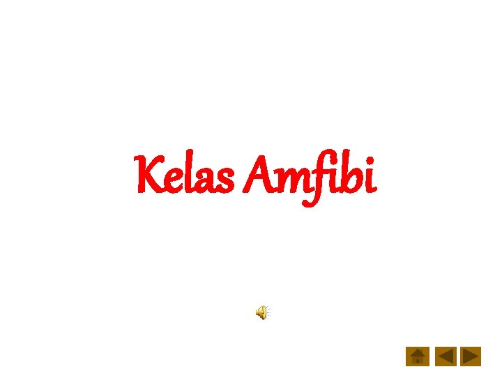 Kelas Amfibi 