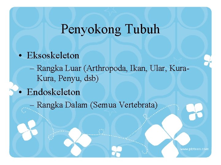 Penyokong Tubuh • Eksoskeleton – Rangka Luar (Arthropoda, Ikan, Ular, Kura, Penyu, dsb) •