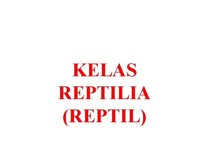 KELAS REPTILIA (REPTIL) 