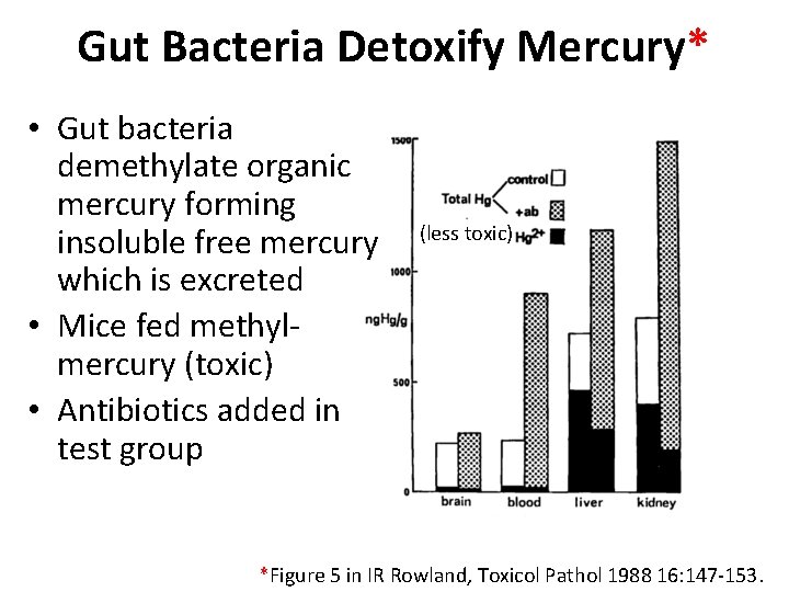 Gut Bacteria Detoxify Mercury* • Gut bacteria demethylate organic mercury forming insoluble free mercury