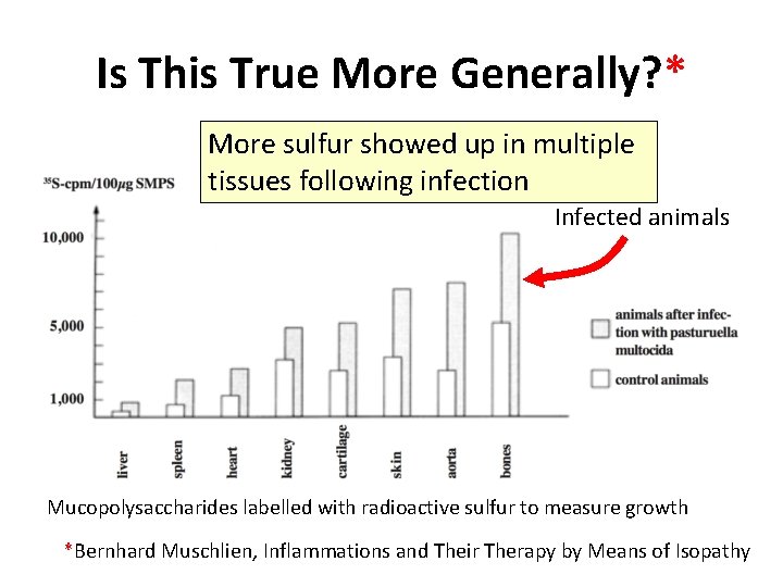 Is This True More Generally? * More sulfur showed up in multiple tissues following