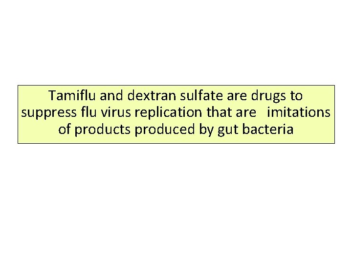 Tamiflu and dextran sulfate are drugs to suppress flu virus replication that are imitations