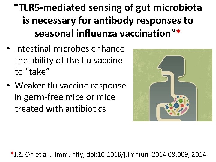 "TLR 5 -mediated sensing of gut microbiota is necessary for antibody responses to seasonal