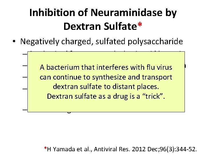 Inhibition of Neuraminidase by Dextran Sulfate* • Negatively charged, sulfated polysaccharide – Synthesized from