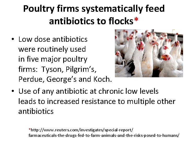 Poultry firms systematically feed antibiotics to flocks* • Low dose antibiotics were routinely used