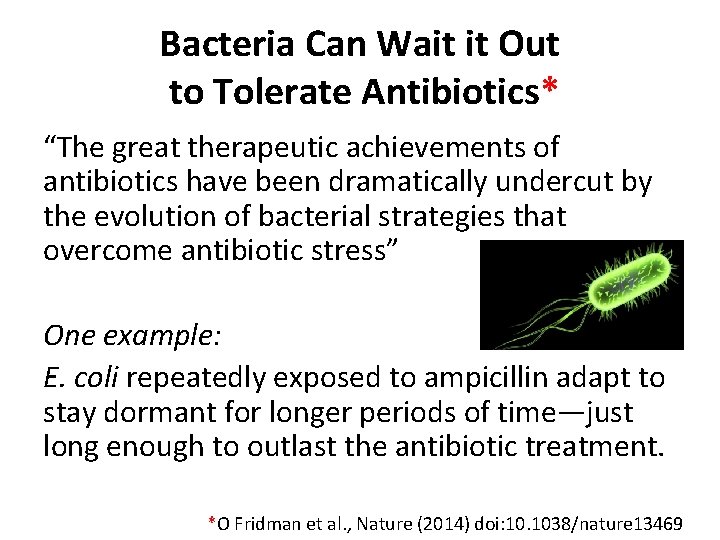 Bacteria Can Wait it Out to Tolerate Antibiotics* “The great therapeutic achievements of antibiotics